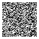 Mnp LLP QR Card