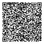 Data Audit Industries Inc QR Card