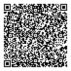 Deluxe Central Taxi QR Card