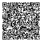 Bulk Systems Ltd QR Card