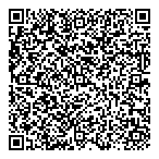 Micropaint/chippy Auto Apprnc QR Card