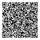 D T  A Consulting QR Card