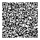 Salvis Consulting QR Card