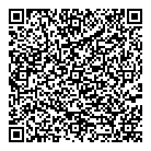 Air Testing Plus Inc QR Card