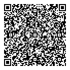 Sae Holdings Inc QR Card