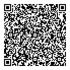 Team Insulation Inc QR Card