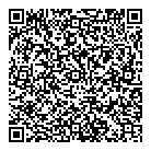 Dlc Computer Services QR Card