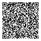 Mnp LLP QR Card