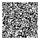 Dds Consulting QR Card