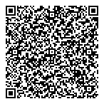 D  L Methanol Services Ltd QR Card