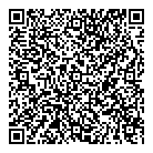 Dn Holdings Inc QR Card