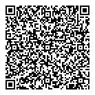 Visions Electronics QR Card