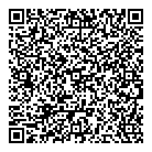 Big Eagle Holdings Ltd QR Card