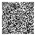 Spy Design QR Card