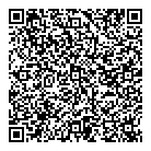 Dnb Art QR Card