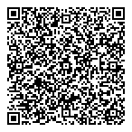 Executive Business Strategies QR Card