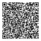 Blast Radius Inc QR Card