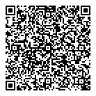 A  P Roofing QR Card