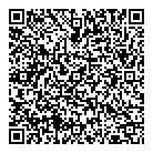 Black Car Limousine QR Card