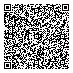 Dillon Consulting Ltd QR Card