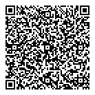 Crm Trilogix QR Card