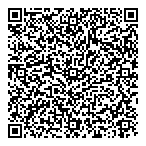 Dz Information Services Ltd QR Card