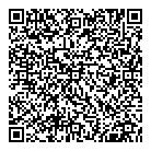 Kallem It Solutions QR Card