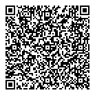 Vipe Construction Ltd QR Card