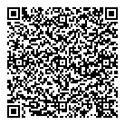 Fifa QR Card