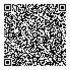 Megatronix QR Card