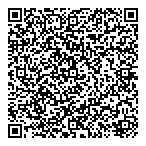 Brisk International Cargo Inc QR Card