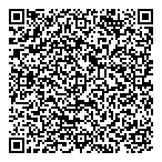 Bl Consulting Services QR Card