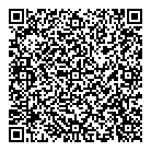 Dariemo Inc QR Card