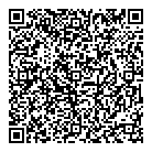 Pkf Consulting QR Card