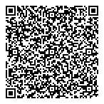 Aldanmaz Investment Ltd QR Card