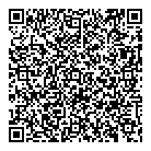 Baltic Amber Ltd QR Card