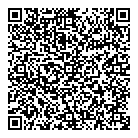 Paragon Consulting QR Card