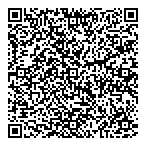 N Barry Lyon Consultants Ltd QR Card