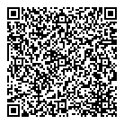 Brainstorm Consulting QR Card