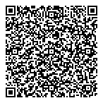 Blizzard Courier Services QR Card