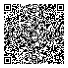 Dan Management Ltd QR Card