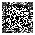 Dit Web Solutions QR Card