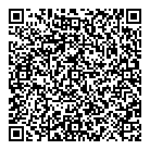 B L Supplies Ltd QR Card