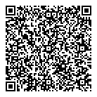 Av Strategies Ltd QR Card