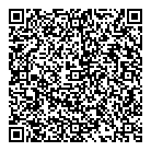 Blitz Facial Bar QR Card