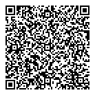 Destiny Solutions Inc QR Card