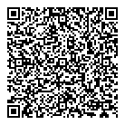 Images Film  Video QR Card