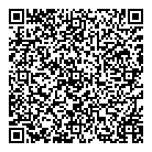 Analytixinsight Inc QR Card