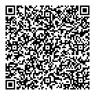 Marius Budu Creative QR Card