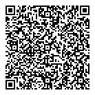 P Brito Travel Inc QR Card